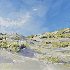 Zonnige Duinen bij Schoorl